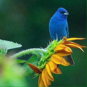 Meet your Posher, Georgina